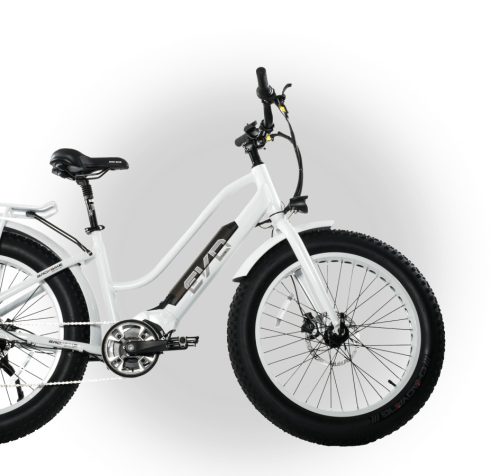 BAD BIKE EVO FAT POLINI 250W